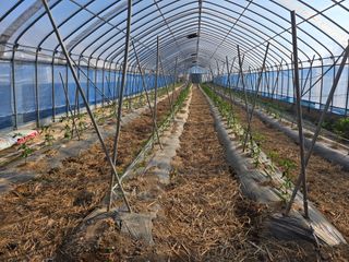 호영님의 자유주제 · 자유게시판 작성글 사진