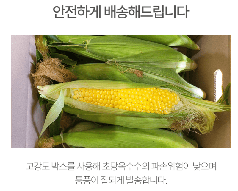 스피드번님의 장터 판매 상품 [국내산 초당옥수수] 첨부 사진