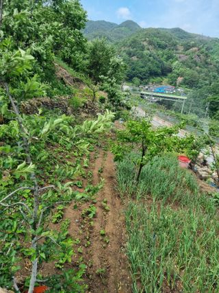 김용대님의 자유주제 · 자유게시판 작성글 사진