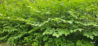 해오름달님의 자유주제 · 사진전 작성글 사진