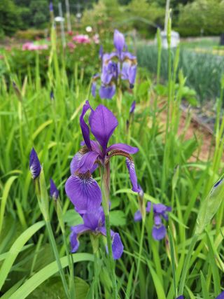 김광수님의 자유주제 · 자유게시판 작성글 사진