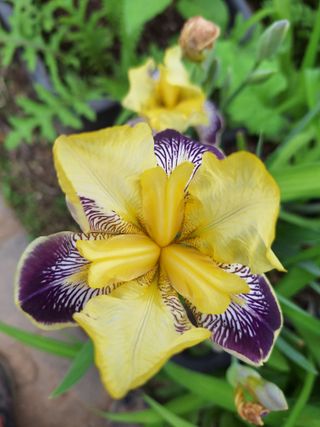 김광수님의 자유주제 · 자유게시판 작성글 사진