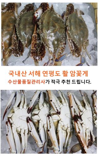 농수사님의 작성글 사진