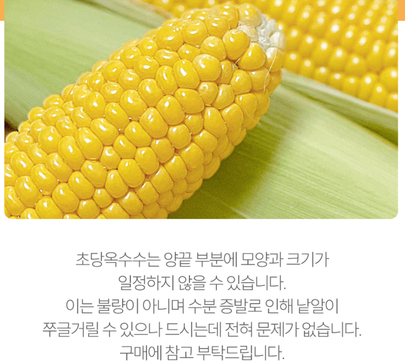 스피드번님의 장터 판매 상품 [국내산 초당옥수수] 첨부 사진