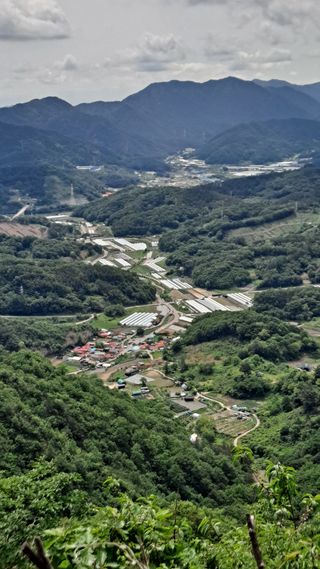 MSG0074님의 자유주제 · 자유게시판 작성글 사진