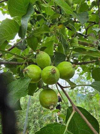 최동구님의 자유주제 · 사진전 작성글 사진