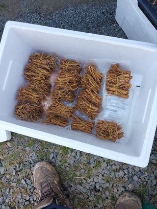 서산팔봉농원님의 자유주제 · 자유게시판 작성글 사진