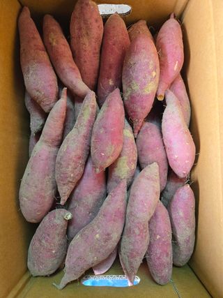 호영님의 자유주제 · 자유게시판 작성글 사진