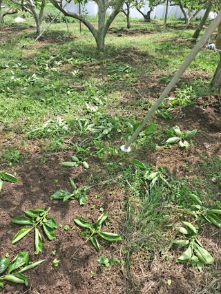 농촌사랑님의 자유주제 · 자유게시판 작성글 사진