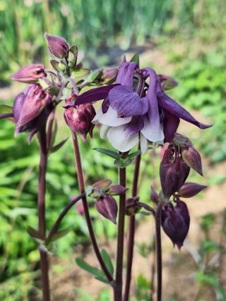 김광수님의 자유주제 · 자유게시판 작성글 사진