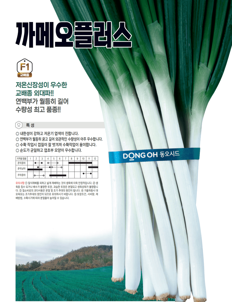 우수영터미널농약사님의 장터 판매 상품 [까메오플러스 외대파 종자 400g] 첨부 사진