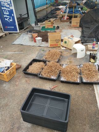 서산팔봉농원님의 자유주제 · 자유게시판 작성글 사진