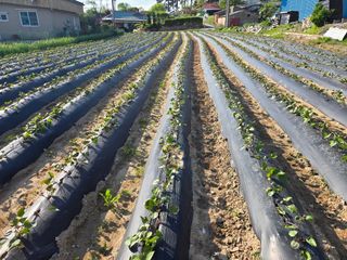 호영님의 자유주제 · 자유게시판 작성글 사진