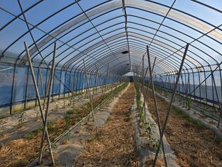 호영님의 자유주제 · 자유게시판 작성글 사진