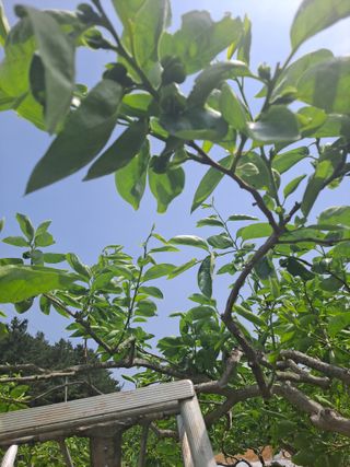 농촌사랑님의 자유주제 · 자유게시판 작성글 사진