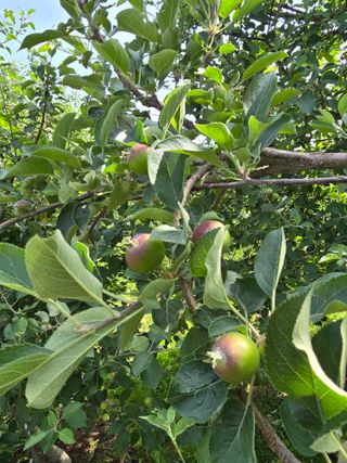 최동구님의 자유주제 · 사진전 작성글 사진