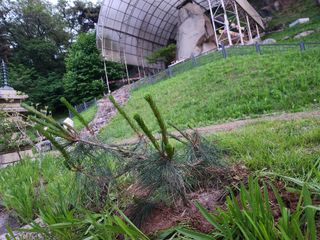 꿀복이농장님의 자유주제 · 자유게시판 작성글 사진