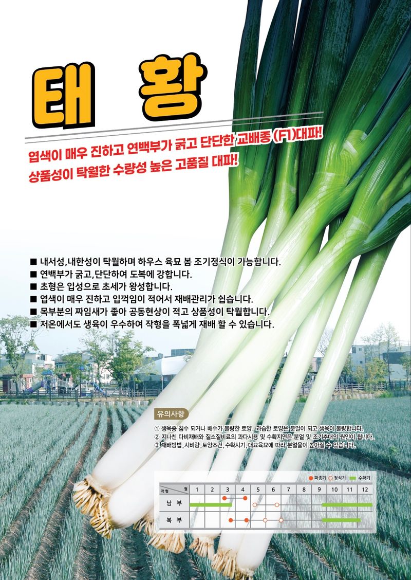 우수영터미널농약사님의 장터 판매 상품 [태황 외대파 종자 400g] 첨부 사진