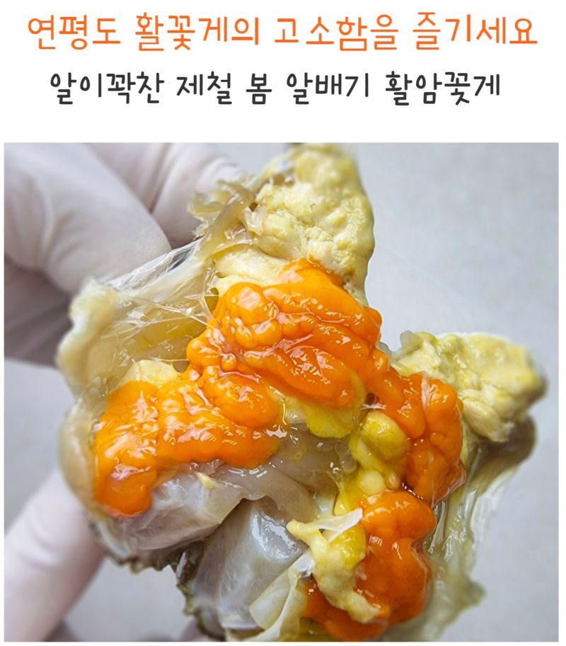 농수사님의 장터 판매 상품 [연평도 알배기 활암꽃게 1kg ] 첨부 사진