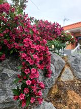 팜모닝 자유주제·자유게시판 게시글 이미지