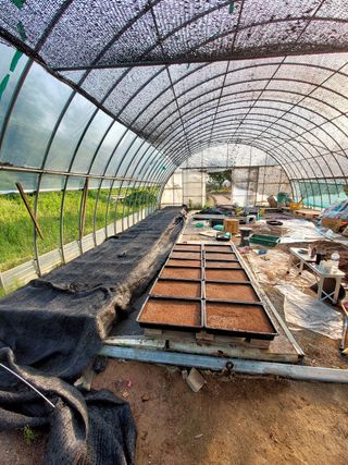 서산팔봉농원님의 자유주제 · 자유게시판 작성글 사진