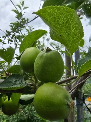 최동구님의 자유주제 · 사진전 작성글 사진