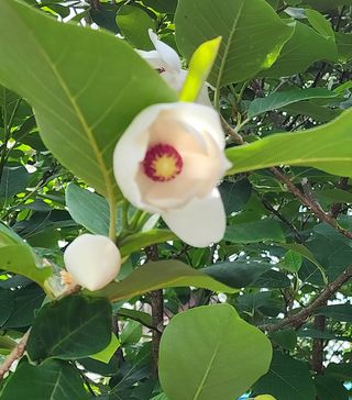 고추건조기부품판매님의 자유주제 · 자유게시판 작성글 사진