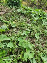 팜모닝 · 게시글 이미지