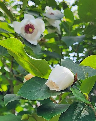 고추건조기부품판매님의 자유주제 · 자유게시판 작성글 사진