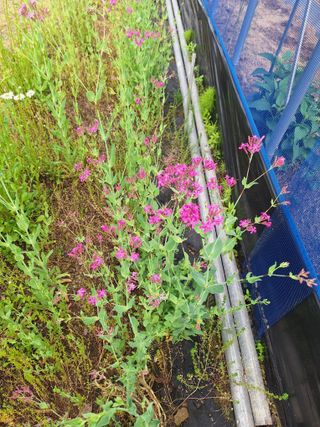 김광수님의 자유주제 · 자유게시판 작성글 사진