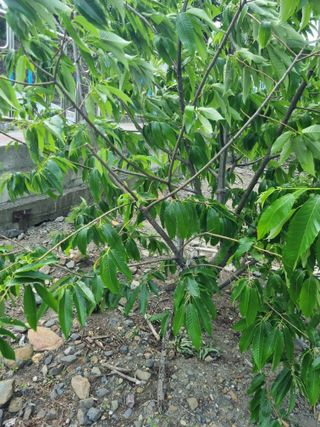 김용대님의 자유주제 · 자유게시판 작성글 사진