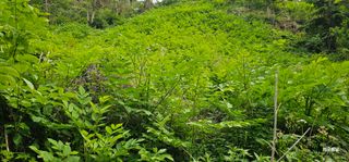 해오름달님의 자유주제 · 사진전 작성글 사진