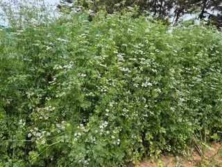 이현학님의 자유주제 · 자유게시판 작성글 사진