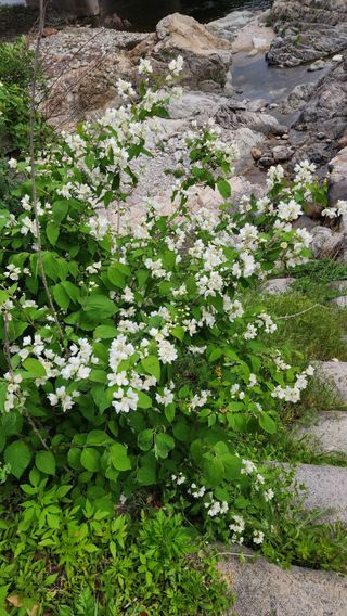 고추건조기부품판매님의 자유주제 · 자유게시판 작성글 사진