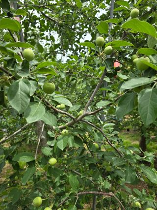 최동구님의 자유주제 · 사진전 작성글 사진