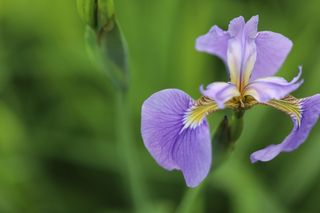 별@노래농장(정씨)님의 자유주제 · 자유게시판 작성글 사진