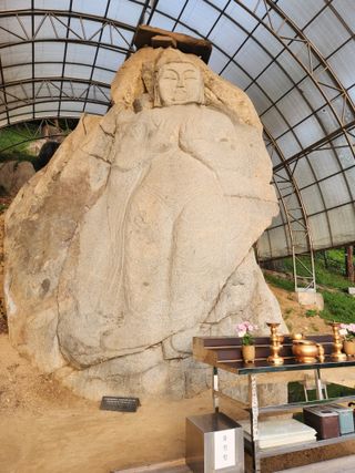 꿀복이농장님의 자유주제 · 자유게시판 작성글 사진