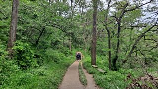 MSG0074님의 자유주제 · 자유게시판 작성글 사진