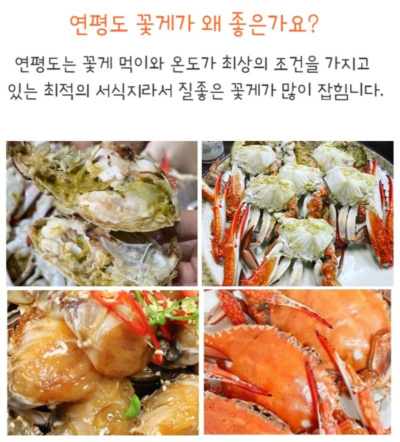 농수사님의 장터 판매 상품 [연평도 알배기 활암꽃게 1kg ] 첨부 사진