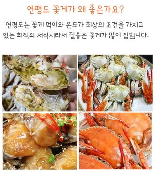 농수사님의 작성글 사진