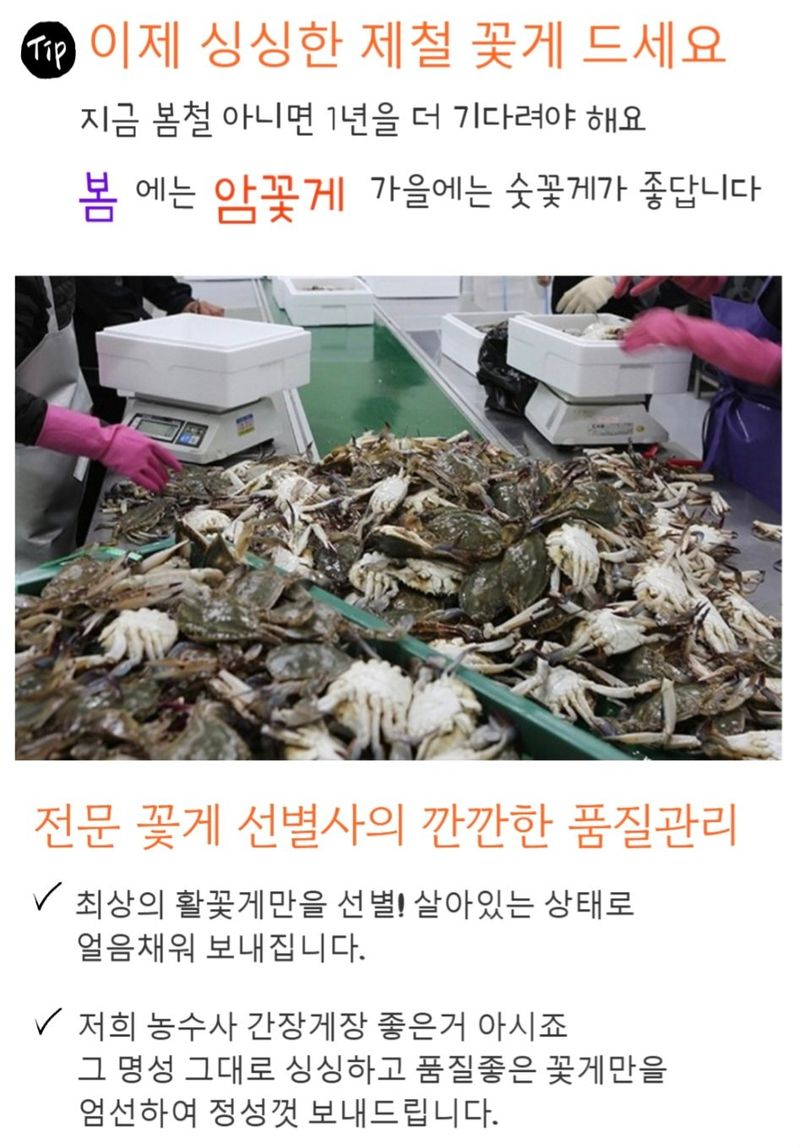농수사님의 장터 판매 상품 [연평도 알배기 활암꽃게 1kg ] 첨부 사진
