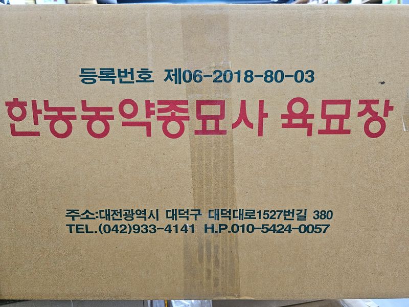 한농농약종묘사님의 장터 판매 상품 [대파모종 200구] 첨부 사진