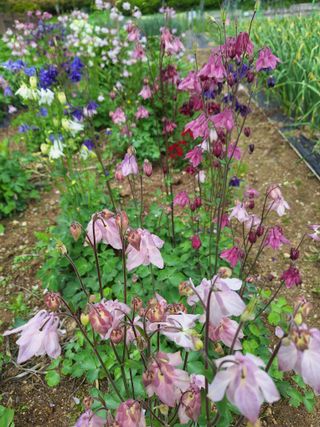 김광수님의 자유주제 · 자유게시판 작성글 사진