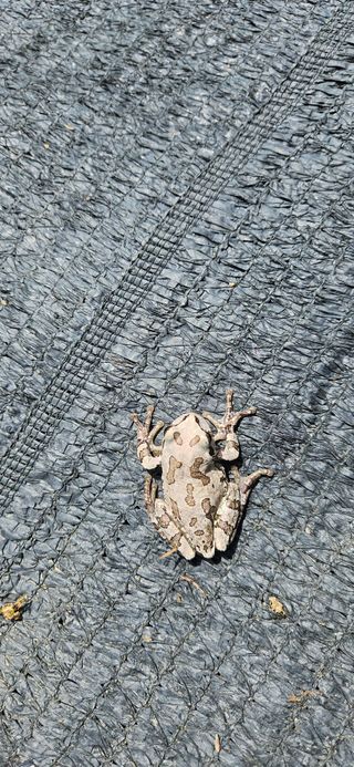 임 촌장.님의 자유주제 · 자유게시판 작성글 사진