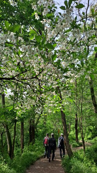 MSG0074님의 자유주제 · 자유게시판 작성글 사진
