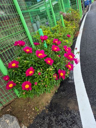 서연님의 자유주제 · 자유게시판 작성글 사진
