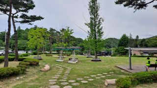 MSG0074님의 자유주제 · 자유게시판 작성글 사진