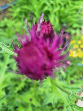 김광수님의 자유주제 · 자유게시판 작성글 사진