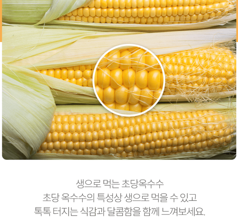 스피드번님의 장터 판매 상품 [국내산 초당옥수수] 첨부 사진