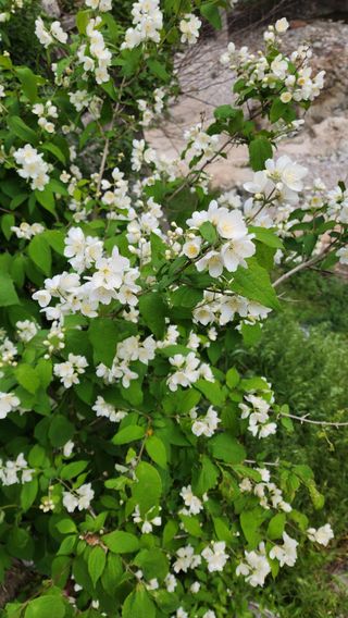 고추건조기부품판매님의 자유주제 · 자유게시판 작성글 사진